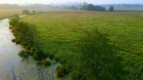 Top view of the coastline river landscape fog Stock Footage 275208972