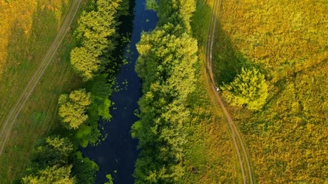 Top view of the coastline river landscape fog Stock Footage 275209611