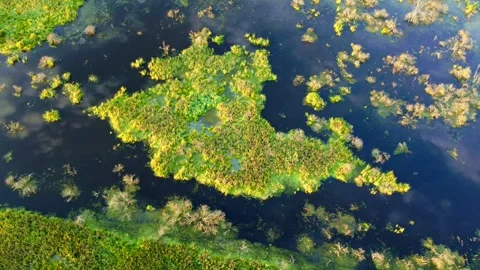 Top view of the coastline river landscape fog Stock Footage 275209780