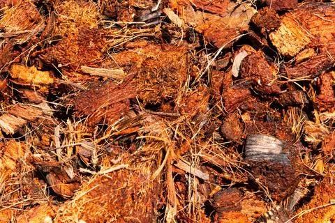 Top view of coconut husk chips Stock Photos