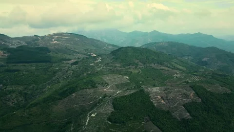 Top view coffee fields in DakHa, Kontum, in the Central Highlands region of Stock Footage 240766877