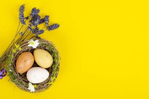 Top view of color easter haqndmade eggs and nest flatlay. Trendy minimal de.. Stock Photos