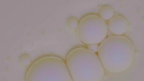 Top view of colored acrylic paint bubbles moving on milk, oil Stock Footage 252804827