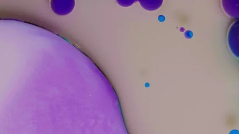 Top view of colored acrylic paint bubbles moving on milk, oil Stock Footage 252804837