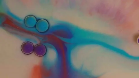 Top view of colored acrylic paint bubbles moving on milk, oil Stock Footage 252805590