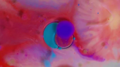 Top view of colored acrylic paint bubbles moving on milk, oil Stock Footage 252806104