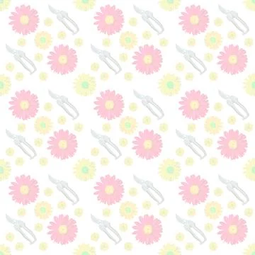 Top view of colored flowers with scissors isolated on white Stock Photos