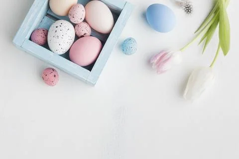Top view colorful eggs easter with tulips Stock Photos