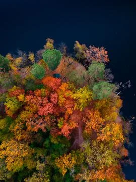 Top view of colorful forest trees and lake in autumn. Ukraine. High quality p Stock Photos