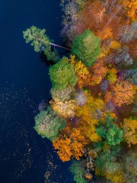 Top view of colorful forest trees and lake in autumn. Ukraine. High quality p Stock Photos