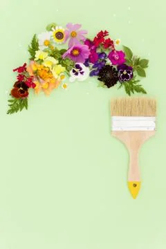 Top view on colorful frame composition - rainbow made of flowers with paint b Stock Photos