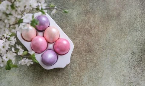 Top view of colorful pastel Easter eggs and cherry blossom branches on gree.. Stock Photos