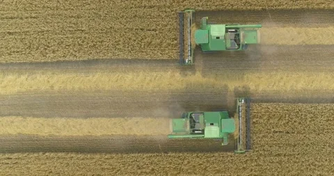 Top view of a combine harvester harvesting wheat. Wheat harvest. Green harvester Stock Footage 166328810