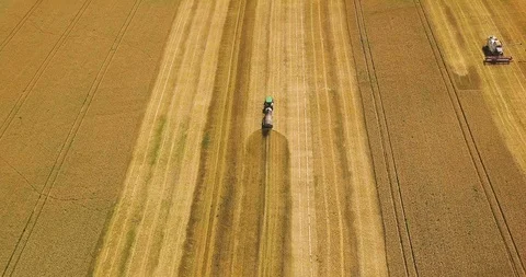 Top view: combines gathering wheat from the agriculture field. Harvesting Cro Stockbeeldmateriaal 93304363