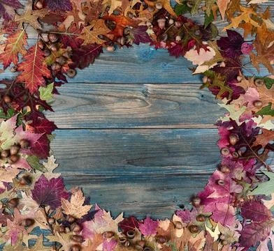 Top view of a complete circle real acorns and colorful foliage leaves on wood Stock-Fotos