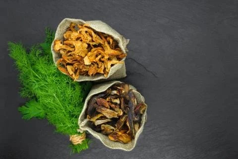 Top view composition of dry boletus and chanterelles mushrooms placed in canv Stock Photos