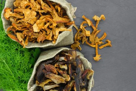 Top view composition of dry boletus and chanterelles mushrooms placed in canv Stock Photos