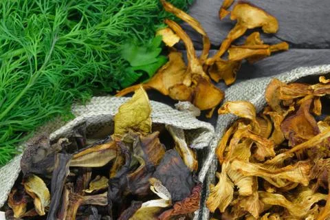 Top view composition of dry boletus and chanterelles mushrooms placed in canv Stock-Fotos