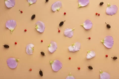 The top view composition flowers Stock Photos