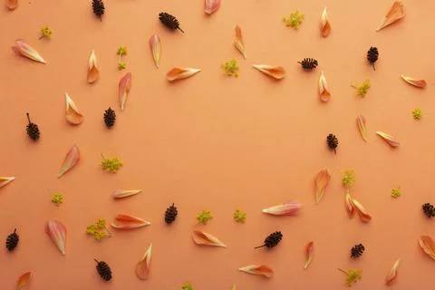 The top view composition flowers Stock Photos