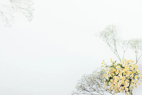 Top view composition of two bouquets in corners Stock Photos