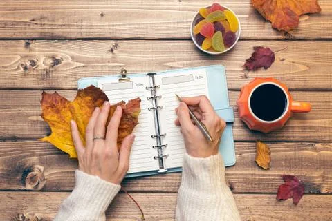 Top view composition with woman's hands in sweater, pumpkin styled cup of cof Stock Photos