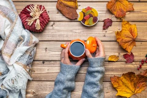 Top view composition with woman's hands in gray sweater, pumpkin styled cup o Stock Photos