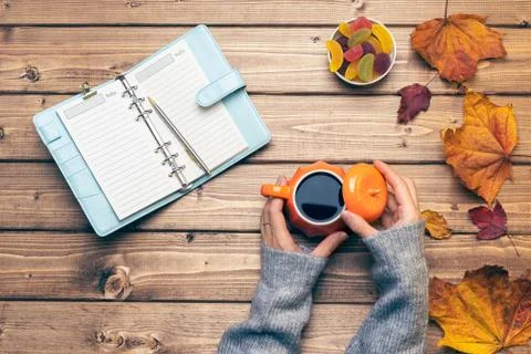 Top view composition with woman's hands in sweater, pumpkin styled cup of cof Foto stock