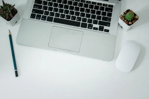 Top view computer laptop and pencil cactus on white background flat lay. Stock Photos