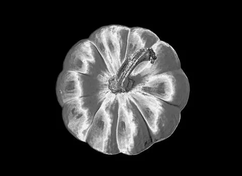 Top view conceptual art of a shiny metallic silver pumpkin on black background Illustrazione stock