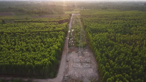 Top view of construction of power lines in the forest. Video stock 218223253