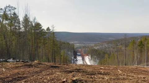 Top view of the construction site of a new gas pipeline in the Siberian taiga Video stock 231162234