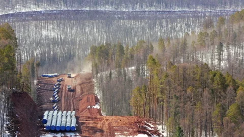 Top view of the construction site of a new gas pipeline in the Siberian taiga Stock Footage 231162454