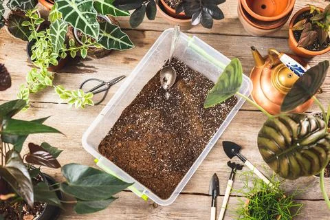 Top view of container with soil mix for plants Stock Photos
