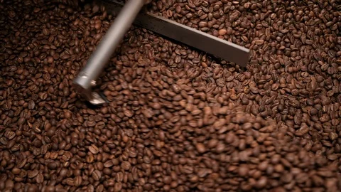 Top view cooling down process freshly roasted coffee beans. 库存影片 115847447