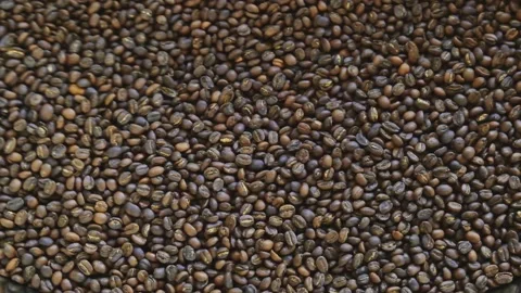 Top view cooling roasted coffee Stock Footage 142263940