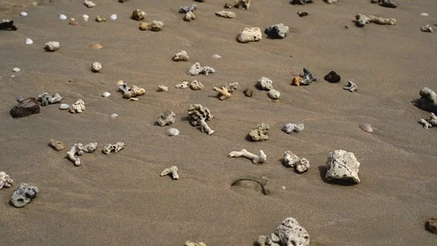 Top view of coral and shells beach Nai Yang Beach sea water in the afternoon 스톡 동영상 110738892