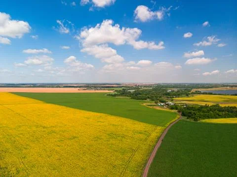 Top view of corn and sunflower fields in Russia Stock Photos