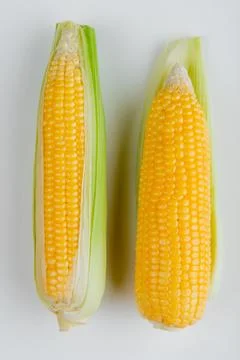 Top view of corn cobs with shell on white background Fotos Stock