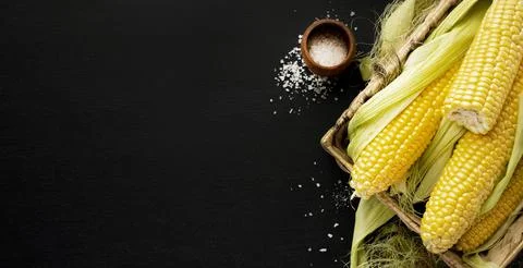 Top view corn frame with copy space Resolution and high quality beautiful photo 写真素材
