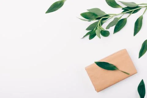 Top view corner decorative frame of greenery 스톡 사진