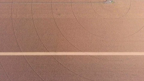 Top View of the Cornfield.The Field can be Seen in Circles from the Sprinklers Stock Footage 95496940