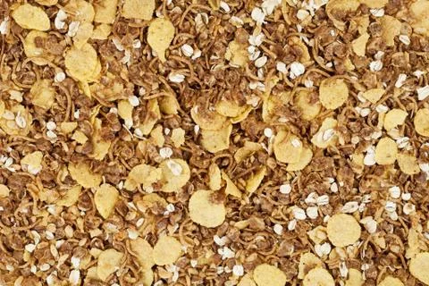 Top view of cornflakes Stock Photos