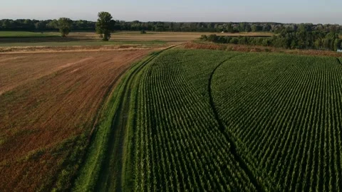 Top view a country road between different agricultural crops Stock Footage 134007549