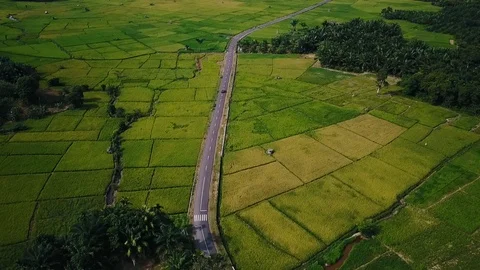 Top view of the countryside Stock Footage 94480424