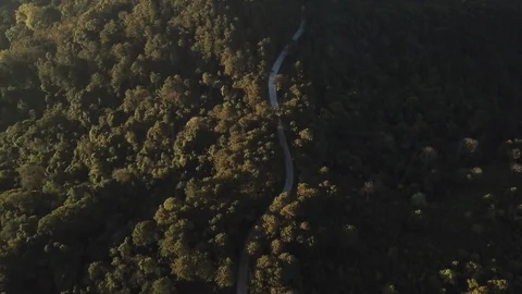 Top view of countryside road passing through the green forrest and mountain Stock Footage 124355705
