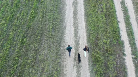 Top view couple man and woman walking with black dog Stock Footage 166742650