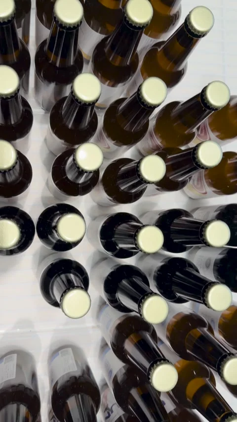 Top View of Craft Beer Bottles and Cans in Refrigerator Stock Footage 344624347
