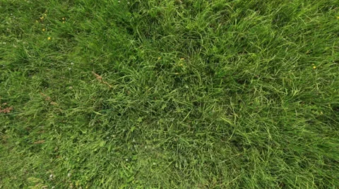 Top view crane shot grassland Stock Footage 25811366