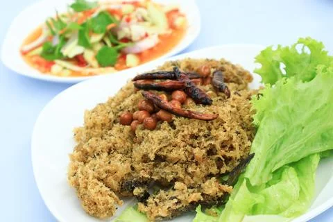 Top view of Crisp Catfish Flake Salad on dish. Thai food, fried food Stock Photos
